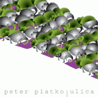 Peter Piatko Ulica